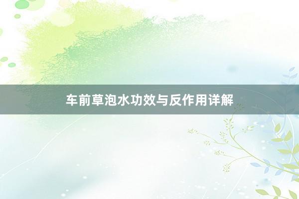 车前草泡水功效与反作用详解